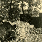 Widok cmentarza żydowskiego. Na zdjęciu malownicza grupa płyt nagrobnych z hebrajskimi inskrypcjami. Nagrobki są w różnym stopniu pochylone, zanurzone w wysokiej trawie. W tle kępa drzew. Na dalszym planie mur okalający cmentarz.